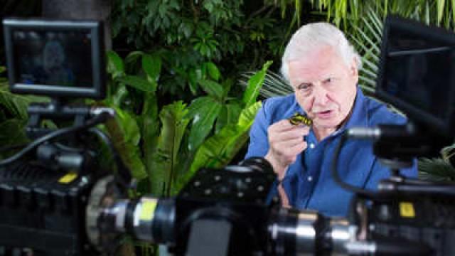 Making David Attenborough's Micro Monsters