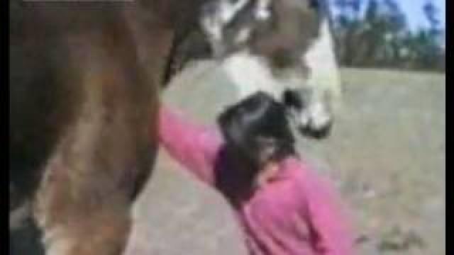 HORSE BITES GIRL'S HEAD!!