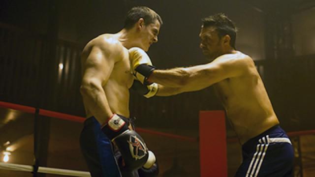 Fights