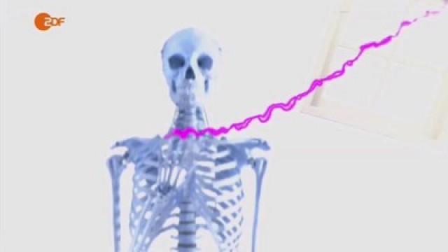 Botschaften aus Schwarzen Löchern