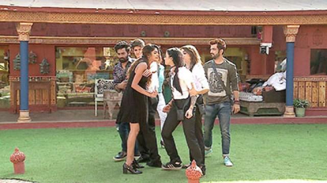 Day 89: Bani and Lopa's 'bigg' cat-fight!