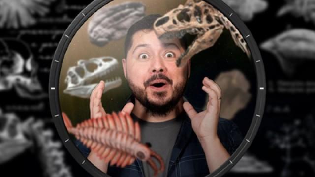 Where do the fossils come from | Nerdologia Teaches