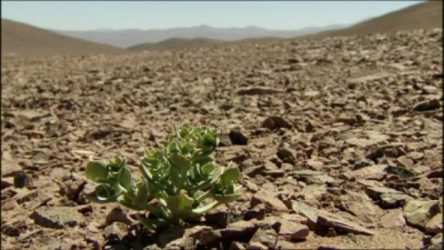 Atacama Desert