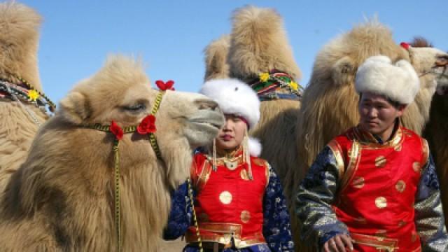 Gobi Desert