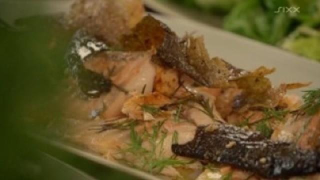Salmon