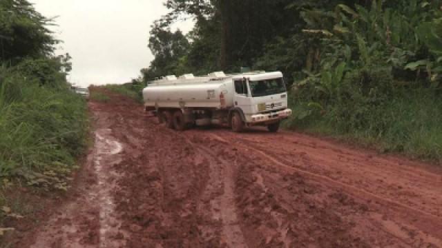 Brazil, The Law of the Jungle