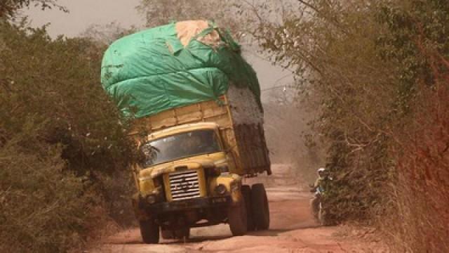 Benin, Cotton at All Costs