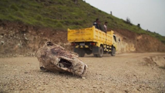 East Timor, The Mysterious Land