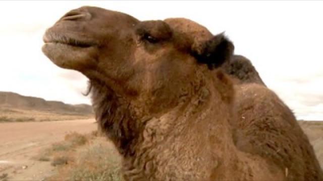 El desierto de Los Monegros
