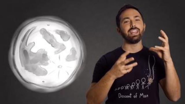 3 Sources of Water on the Moon