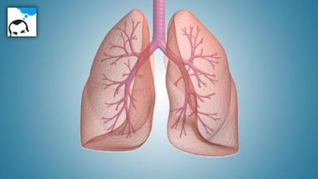 4 ou 5 choses que vous ignorez sur la respiration - 32