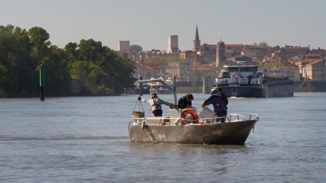 Le Rhone, La renaissance d'un fleuve