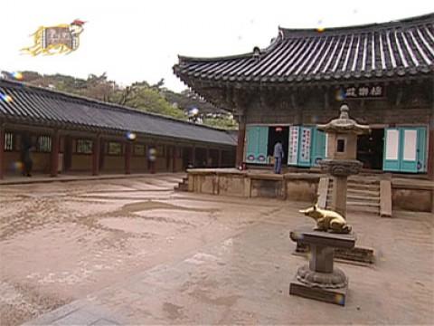 Finding Treasures in Gyeongju Special (2)