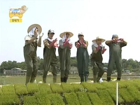 Infinite Challenge Long Term Project - Rice Planting Special (2)