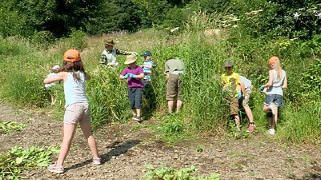 7 Acres Nature Reserve