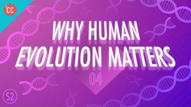 Why Human Evolution Matters