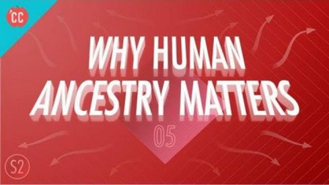 Why Human Ancestry Matters