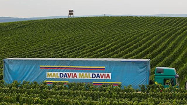 Vinobraní