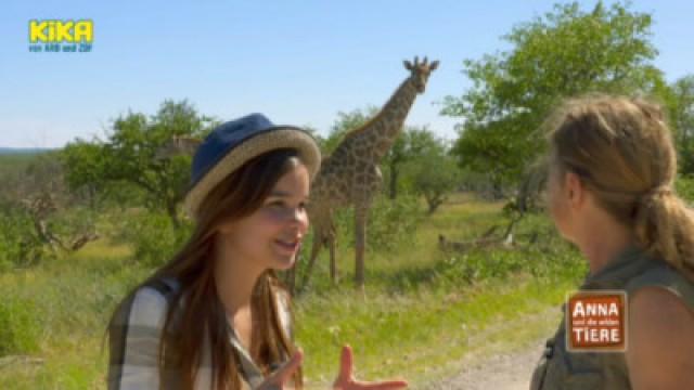 Die Zunge der Giraffe