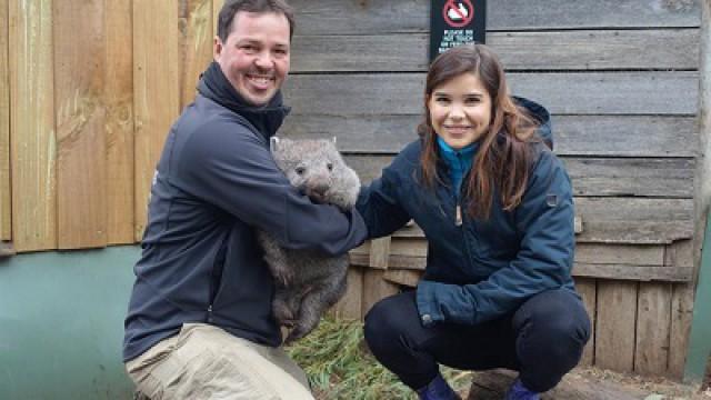 Why the wombat poops cubes