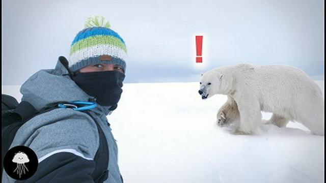 Ce qu'il se passe dans l'Arctique va changer vos vies