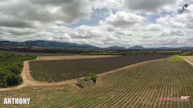 Lavender field, Let's Fly