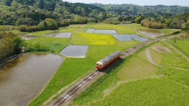 The Living Museum of Chiba
