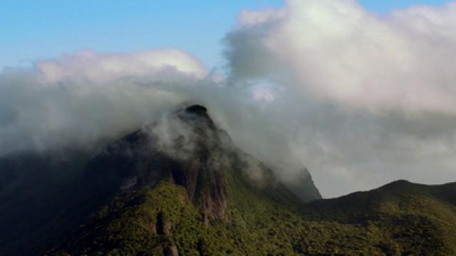 Forest of Clouds