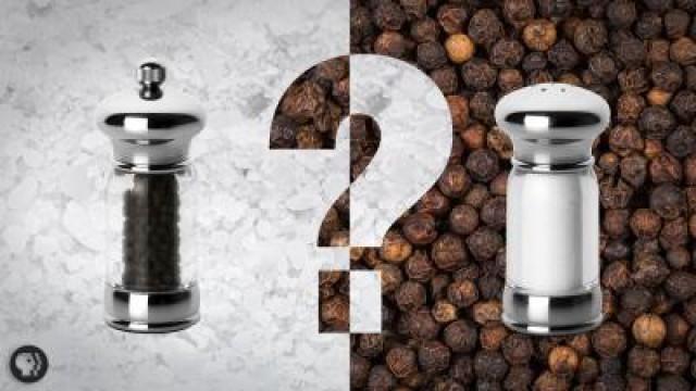 Why Salt & Pepper Ended Up On Every Table