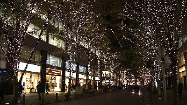 Enjoying Winter in Tokyo