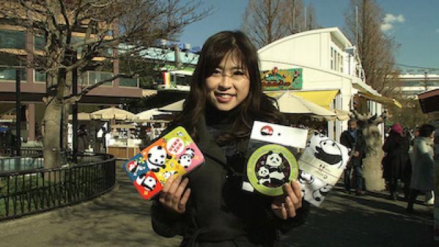 Ueno: Pandas, Parks and More