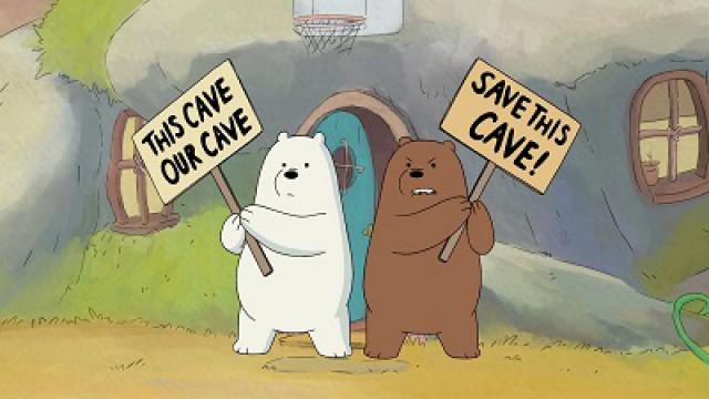 Occupy Bears