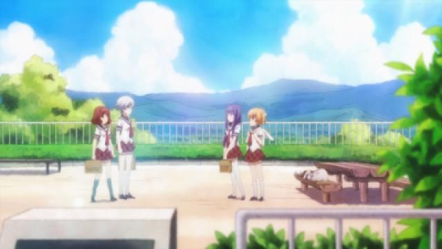 Our Summer Vacation