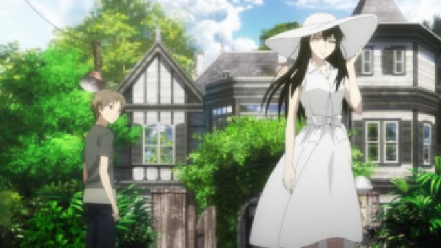 What Lies Beneath Sakurako...