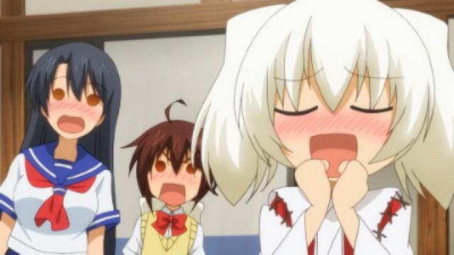 Hakone-chan and the Box Cat