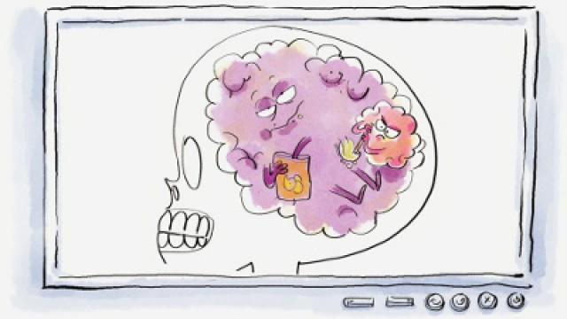 Le cerveau de Lucy