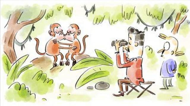 Les animaux gays