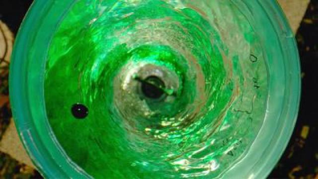 Filming Inside a Slow Motion Vortex