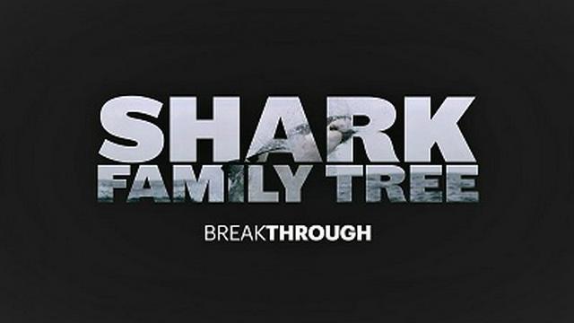 Shark Family Tree