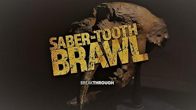 Saber-Tooth Brawl