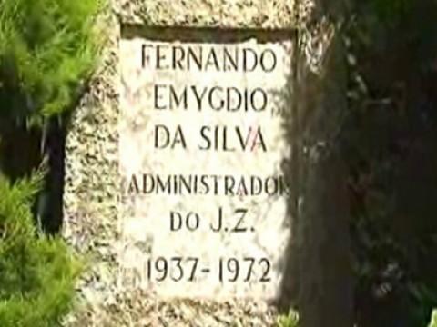 A Propósito de Feras: os Professores e o Zoo