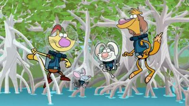 Man-Oh-Mangrove