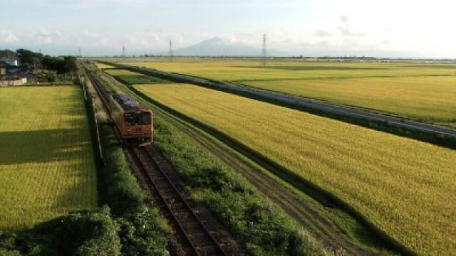 Turning Problems into Opportunities: The Tsugaru Railway's Strategy