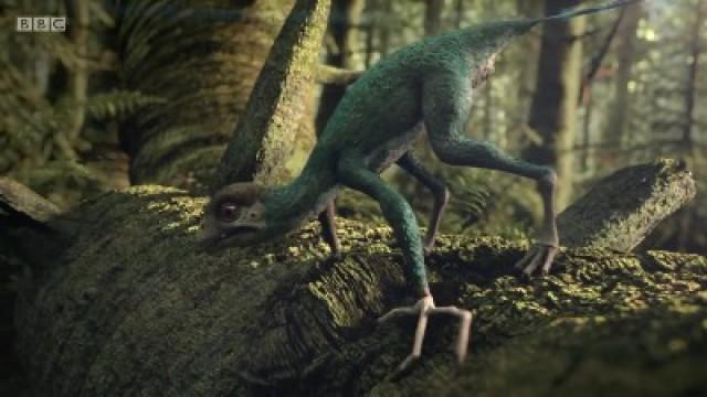 Epidexipteryx and Tail Feather