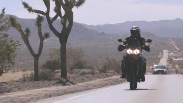 California: Joshua Tree