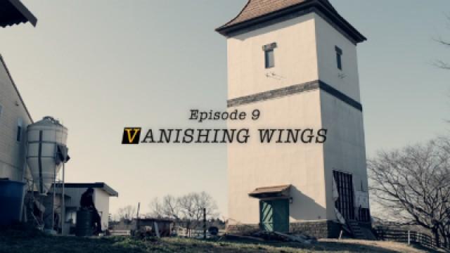 VANISHING WINGS