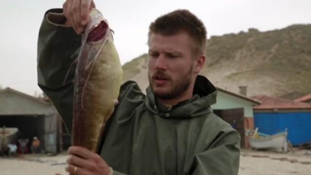 Verão - Bacalhau Brasileiro
