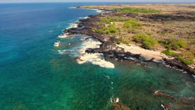 Aloha, Osbournes