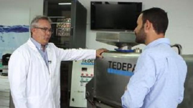 Anisakis y juego ilegal