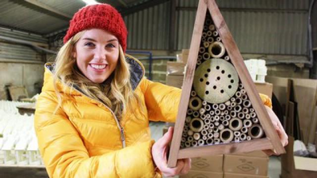 Hamster Wheel and Insect Hotel